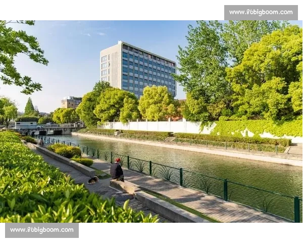 “凌云杯” 徐汇网球赛华东理工收拍 跨年龄对决点燃全民健身热潮